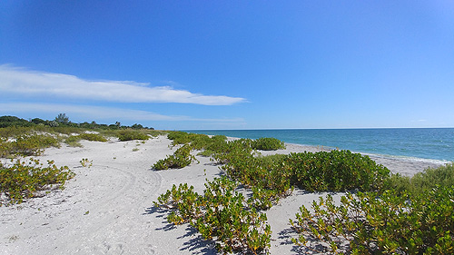 Sanibel & Captiva